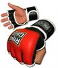 Ring To Cage Ring to Cage Traditional MMA Gloves 